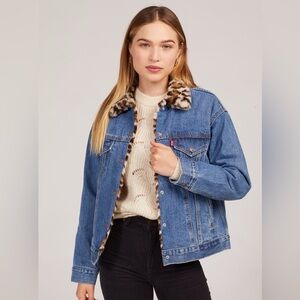 Levi's Denim Jacket with Animal Print Collar